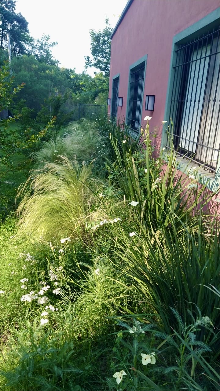 Jardín diseñado por Lucila Mazzini